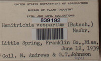 Image Associated With the Occurence